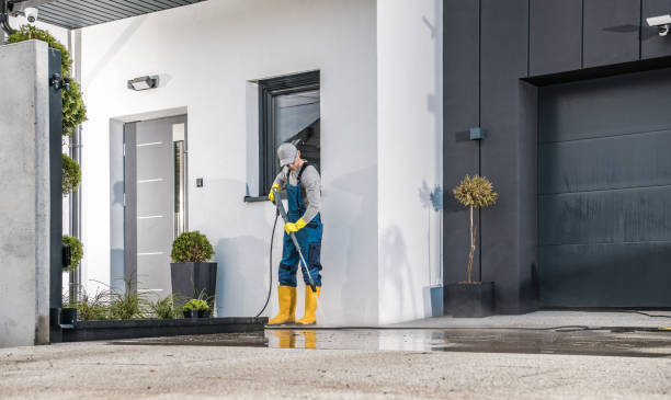 Best Spring Cleaning  in Dundee, FL
